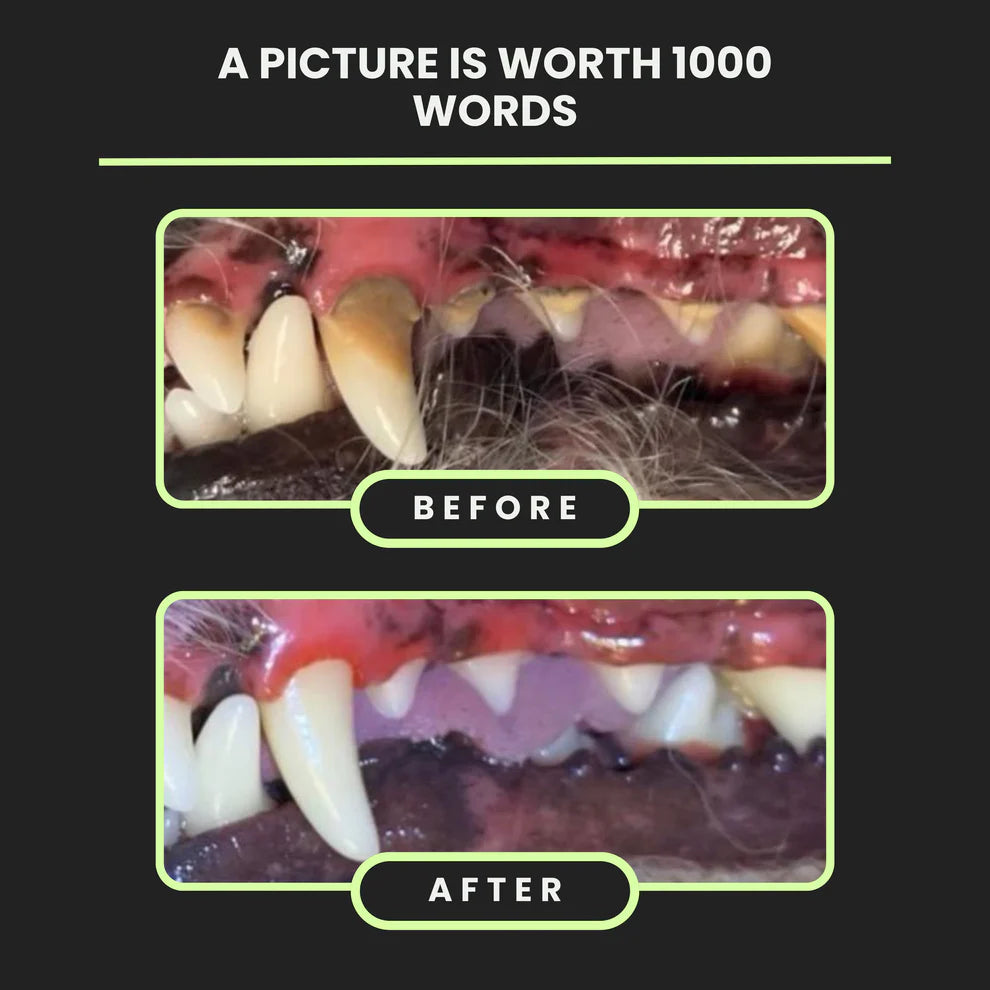 Silvet Toothpaste - Mint 4oz