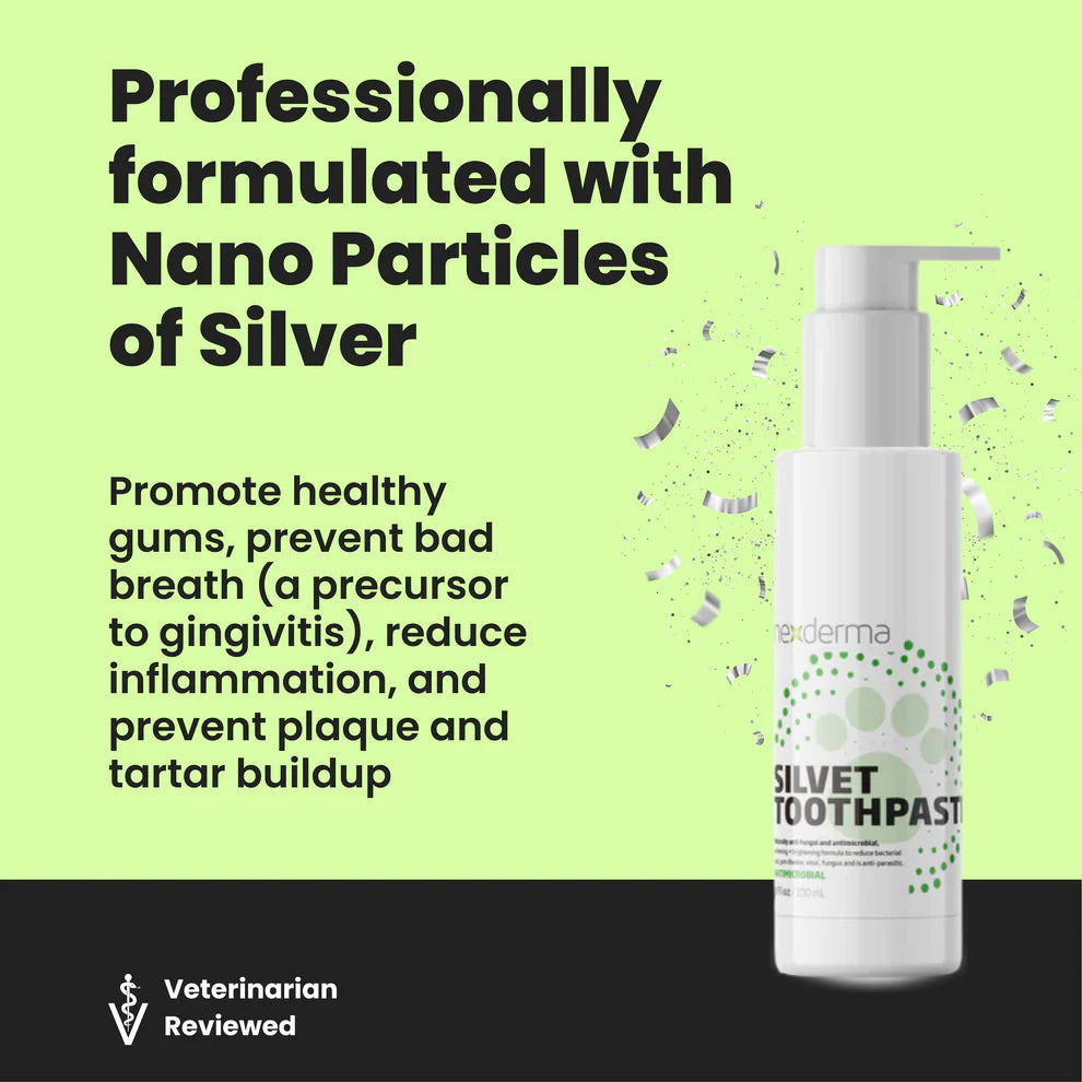 Silvet Toothpaste - Mint 4oz